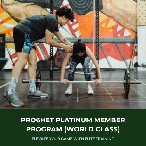 FeuzionPro6het Platinum Member Program (WORLD CLASS)