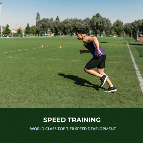 Feuzion Speed Training (WCL)